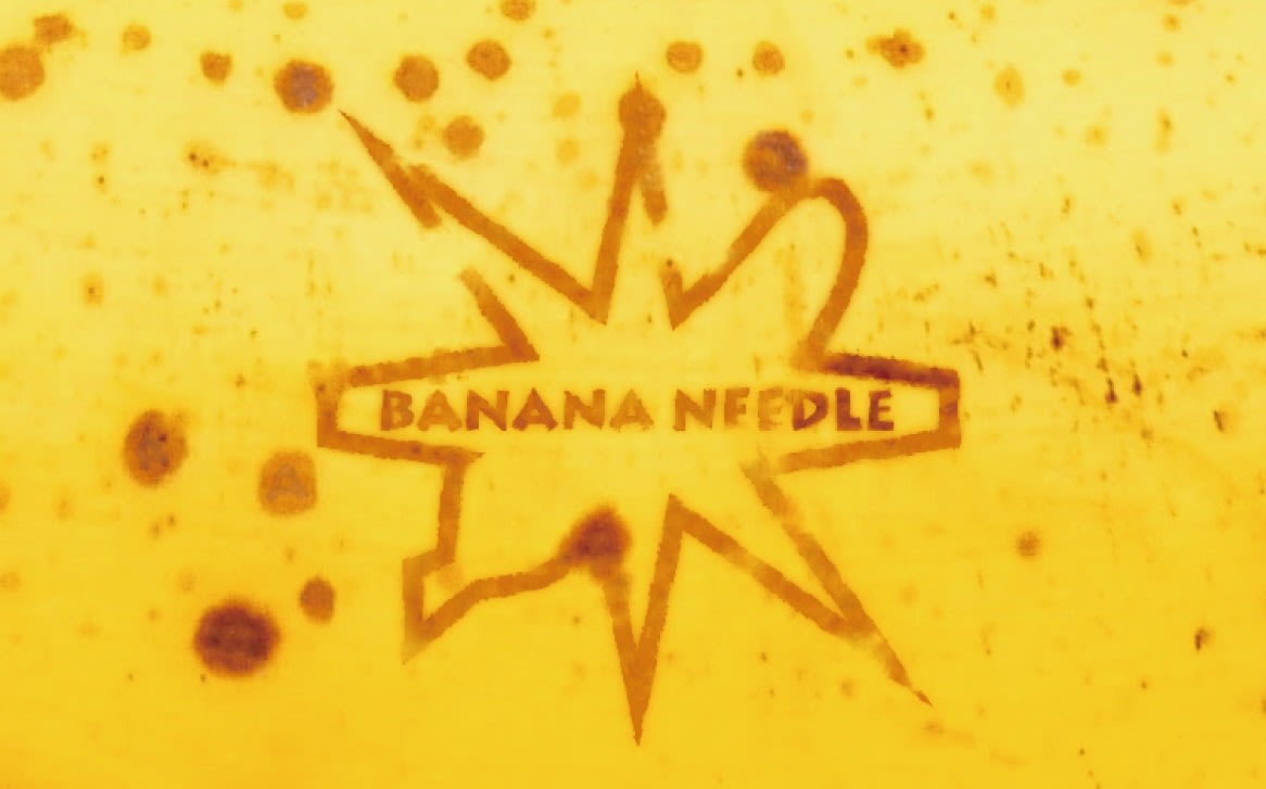 バナナプランの画像